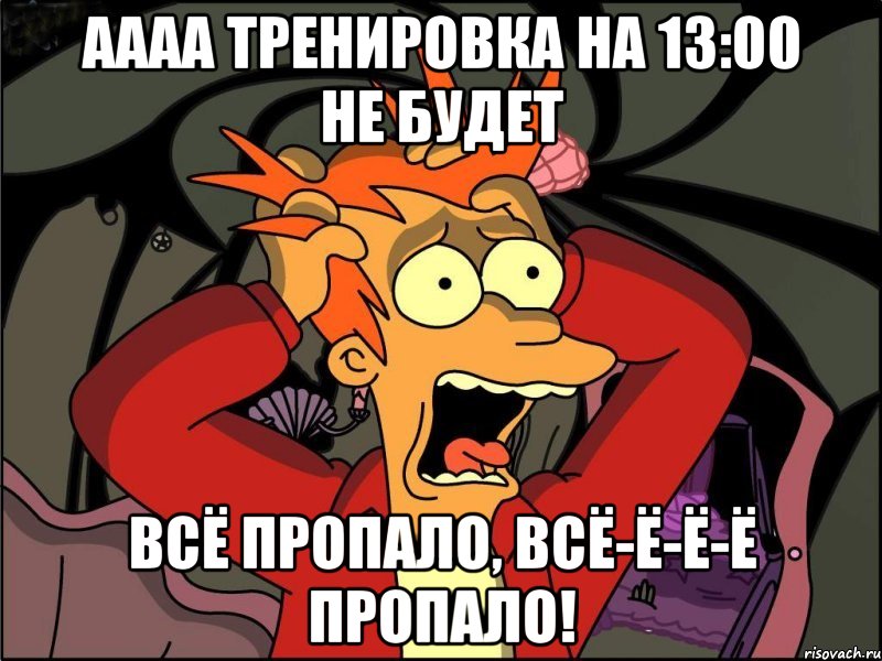 аааа тренировка на 13:00 не будет всё пропало, всё-ё-ё-ё пропало!, Мем Фрай в панике