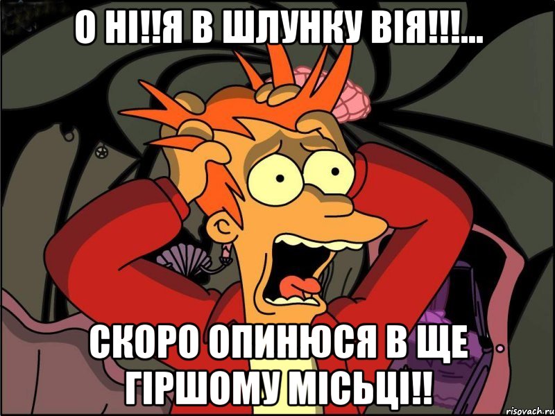 О ні!!Я в шлунку Вія!!!... Скоро опинюся в ще гіршому місьці!!, Мем Фрай в панике