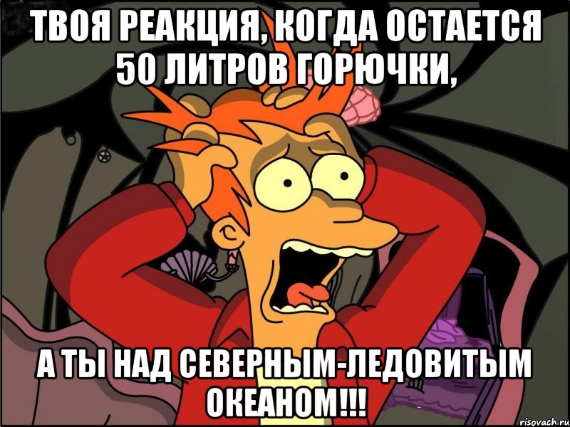 Твоя реакция, когда остается 50 литров горючки, А ТЫ НАД СЕВЕРНЫМ-ЛЕДОВИТЫМ ОКЕАНОМ!!!, Мем Фрай в панике