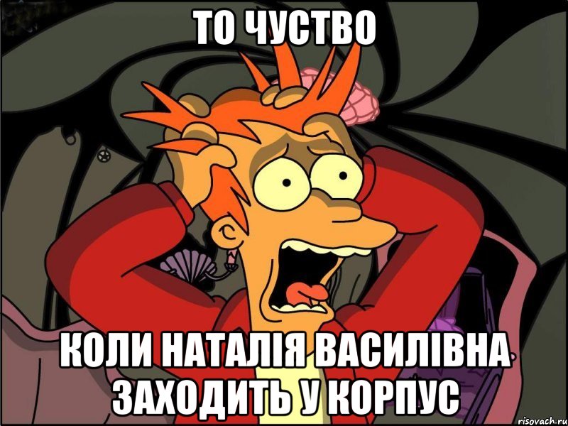 То чуство коли наталія василівна заходить у корпус, Мем Фрай в панике