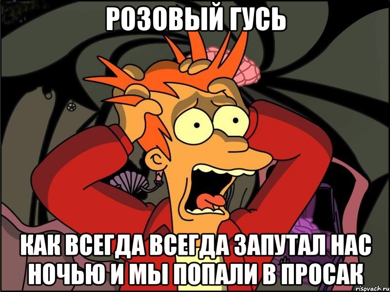 Розовый гусь как всегда всегда запутал нас ночью и мы попали в просак, Мем Фрай в панике