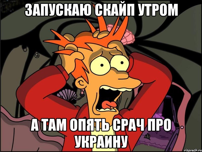 Запускаю скайп утром А там опять срач про Украину, Мем Фрай в панике