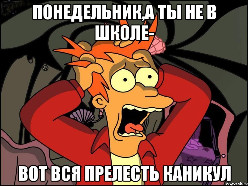 Понедельник,а ты не в школе- Вот вся прелесть каникул, Мем Фрай в панике