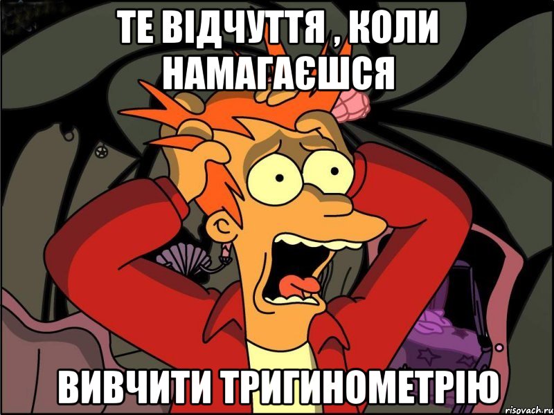 Те відчуття , коли намагаєшся вивчити тригинометрію, Мем Фрай в панике