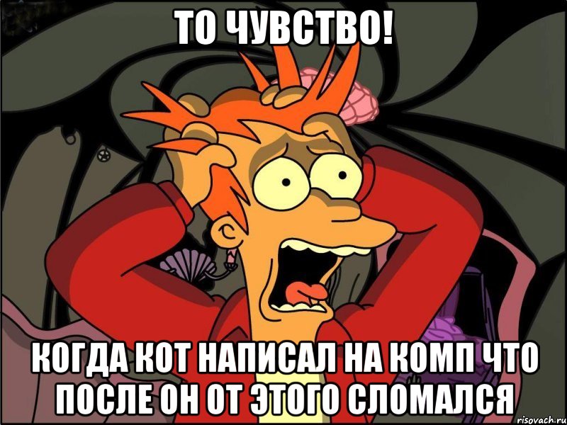 ТО ЧУВСТВО! КОГДА КОТ НАПИСАЛ НА КОМП ЧТО ПОСЛЕ ОН ОТ ЭТОГО СЛОМАЛСЯ