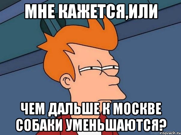 мне кажется,или чем дальше к Москве собаки уменьшаются?, Мем  Фрай (мне кажется или)