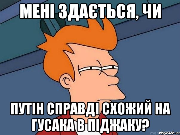 Мені здається, чи Путін справді схожий на гусака в піджаку?, Мем  Фрай (мне кажется или)