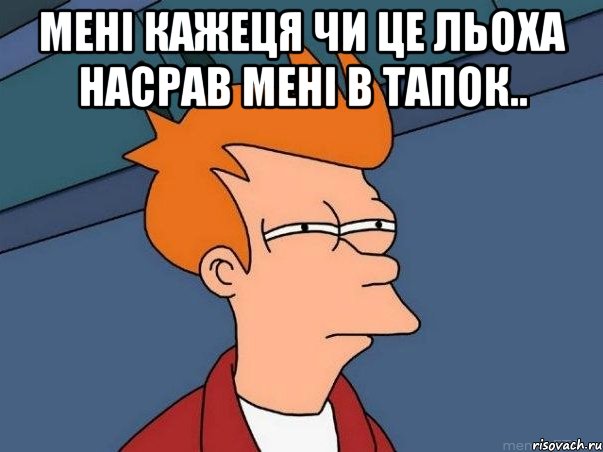 Мені кажеця чи це льоха насрав мені в тапок.. , Мем  Фрай (мне кажется или)