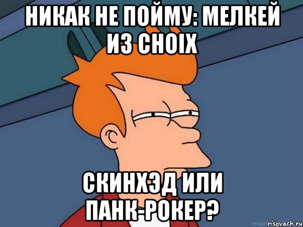 Никак не пойму: Мелкей из Choix скинхэд или панк-рокер?, Мем  Фрай (мне кажется или)