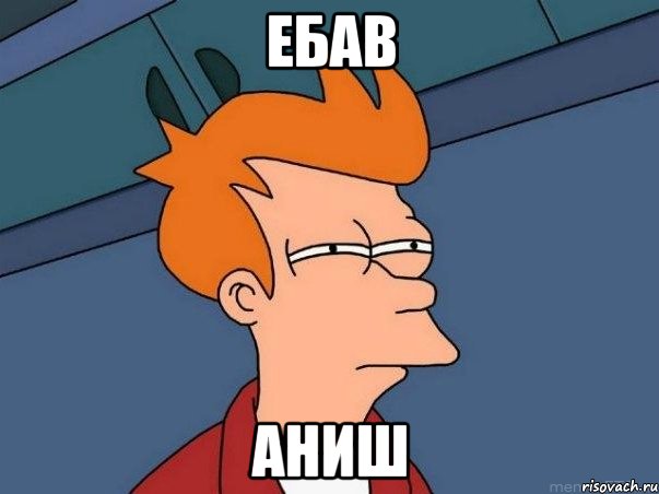 Ебав Аниш, Мем  Фрай (мне кажется или)