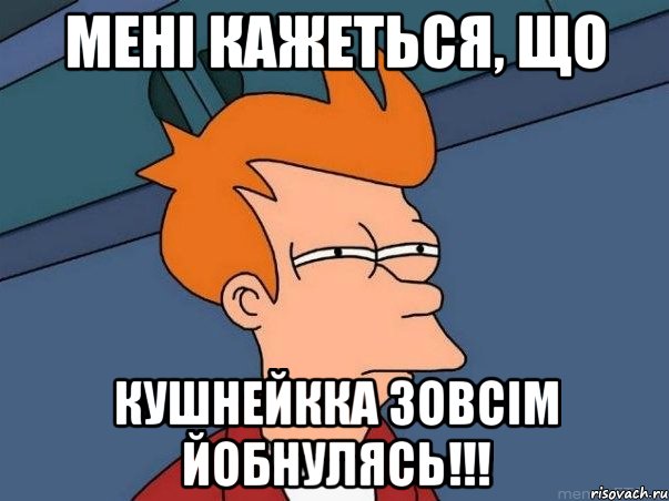 мені кажеться, що Кушнейкка зовсім йобнулясь!!!, Мем  Фрай (мне кажется или)