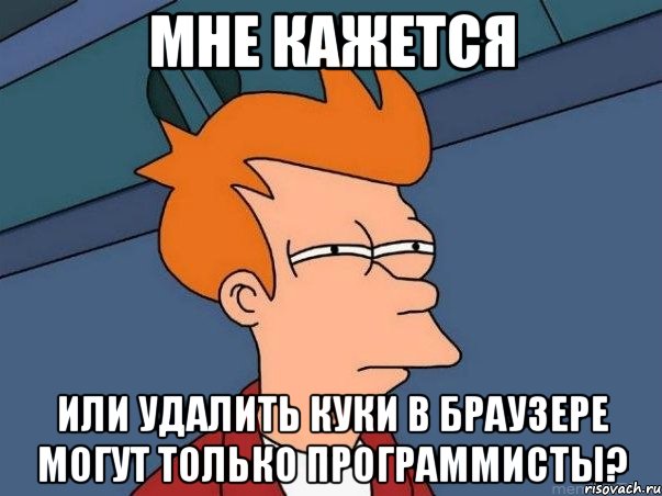 Мне кажется или удалить куки в браузере могут только программисты?, Мем  Фрай (мне кажется или)