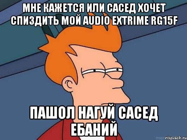 МНЕ КАЖЕТСЯ ИЛИ САСЕД ХОЧЕТ СПИЗДИТЬ МОЙ AUDIO EXTRIME RG15F ПАШОЛ НАГУЙ САСЕД ЕБАНИЙ, Мем  Фрай (мне кажется или)