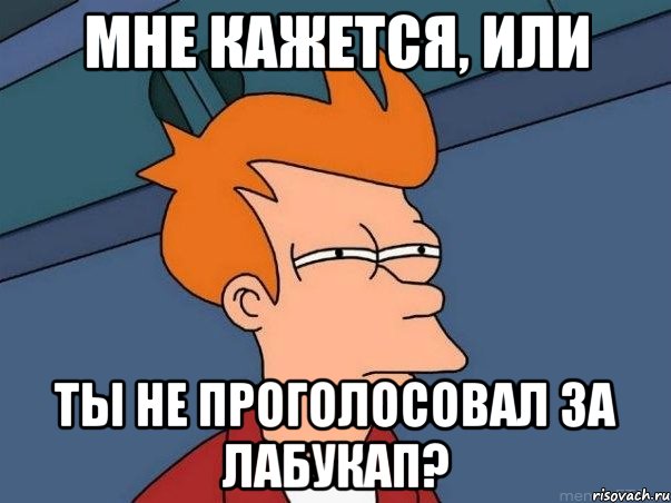 мне кажется, или ты не проголосовал за лабукап?, Мем  Фрай (мне кажется или)