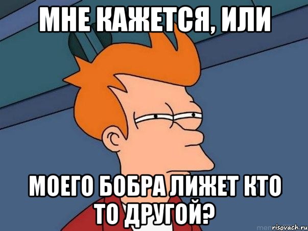Мне кажется, или моего бобра лижет кто то другой?, Мем  Фрай (мне кажется или)