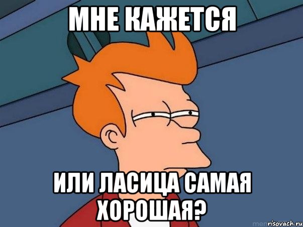 Мне кажется Или Ласица самая хорошая?, Мем  Фрай (мне кажется или)