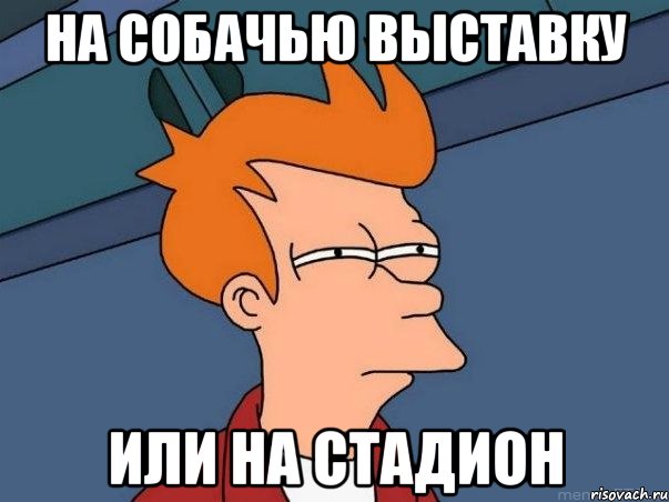 на собачью выставку или на стадион, Мем  Фрай (мне кажется или)