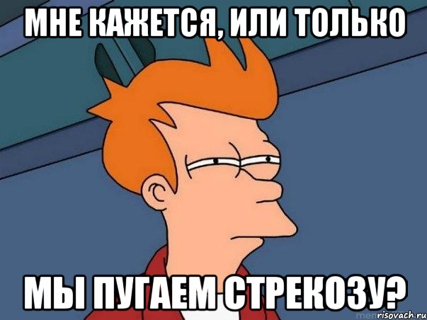 Мне кажется, или только мы пугаем Стрекозу?, Мем  Фрай (мне кажется или)