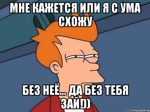 МНЕ КАЖЕТСЯ ИЛИ Я С УМА СХОЖУ БЕЗ НЕЁ... Да без тебя зай!)), Мем  Фрай (мне кажется или)