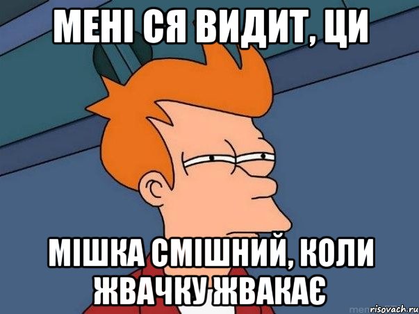 Мені ся видит, ци Мішка смішний, коли жвачку жвакає, Мем  Фрай (мне кажется или)