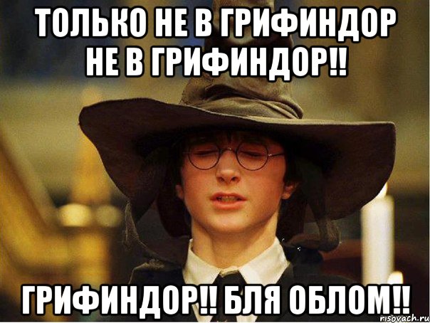 Только не в Грифиндор не в Грифиндор!! Грифиндор!! Бля облом!!