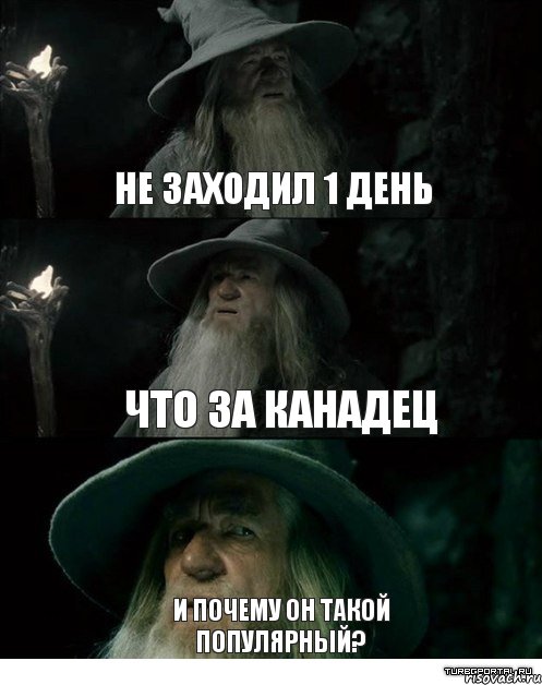 Не заходил 1 день Что за канадец И почему он такой популярный?, Комикс Гендальф заблудился