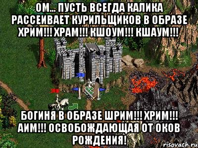 ОМ... Пусть всегда Калика рассеивает курильщиков в образе Хрим!!! Храм!!! Кшоум!!! Кшаум!!! Богиня в образе Шрим!!! Хрим!!! Аим!!! Освобождающая от оков рождения!, Мем Герои 3