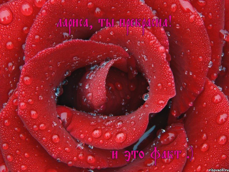 лариса, ты прекрасна! и это факт ;), Комикс гг