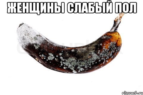 Женщины слабый пол 
