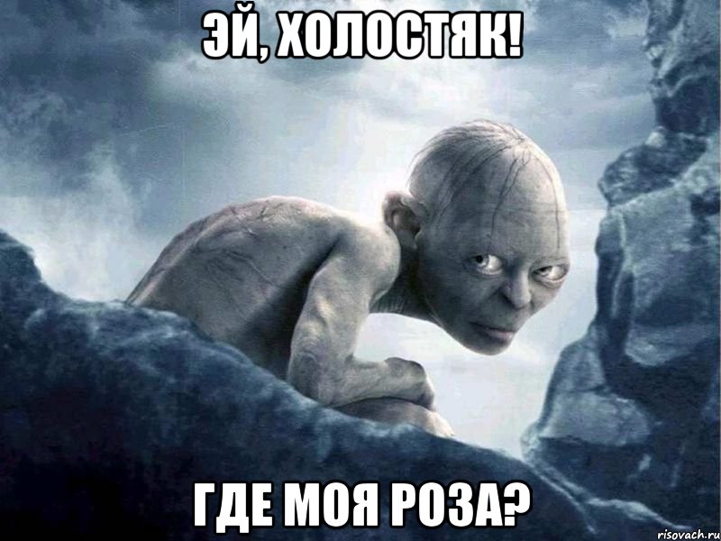 Эй, Холостяк! где моя роза?, Мем   Голлум