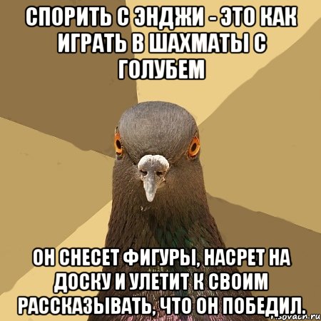 СПОРИТЬ С ЭНДЖИ - ЭТО КАК ИГРАТЬ В ШАХМАТЫ С ГОЛУБЕМ ОН СНЕСЕТ ФИГУРЫ, НАСРЕТ НА ДОСКУ И УЛЕТИТ К СВОИМ РАССКАЗЫВАТЬ, ЧТО ОН ПОБЕДИЛ., Мем голубь