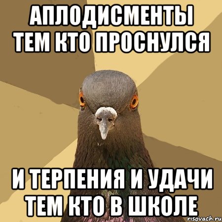 АПЛОДИСМЕНТЫ ТЕМ КТО ПРОСНУЛСЯ И ТЕРПЕНИЯ И УДАЧИ ТЕМ КТО В ШКОЛЕ, Мем голубь