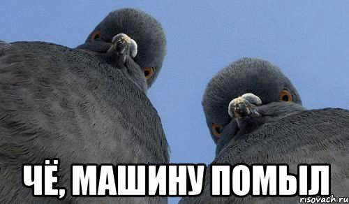  чё, машину помыл