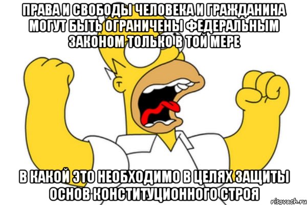 Права и свободы человека и гражданина могут быть ограничены федеральным законом только в той мере в какой это необходимо в целях защиты основ конституционного строя, Мем Разъяренный Гомер