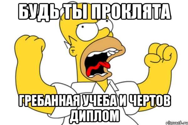 Будь ты проклята гребанная учеба и чертов диплом, Мем Разъяренный Гомер