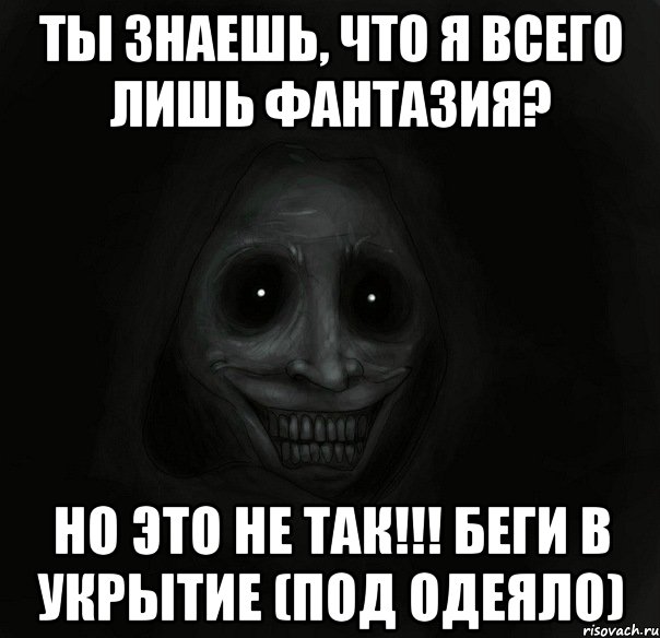 Ты знаешь, что я всего лишь фантазия? Но это не так!!! беги в укрытие (под одеяло), Мем Ночной гость