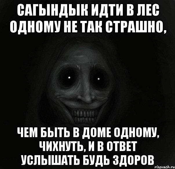 сагындык идти в лес одному не так страшно, чем быть в доме одному, чихнуть, и в ответ услышать будь здоров, Мем Ночной гость