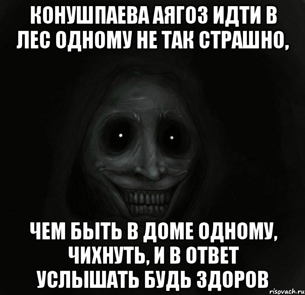 конушпаева аягоз идти в лес одному не так страшно, чем быть в доме одному, чихнуть, и в ответ услышать будь здоров, Мем Ночной гость