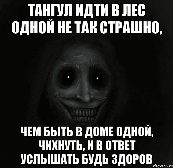 тангул идти в лес одной не так страшно, чем быть в доме одной, чихнуть, и в ответ услышать будь здоров, Мем Ночной гость