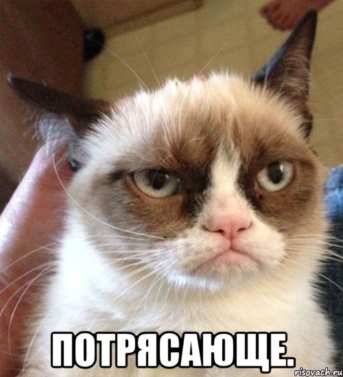  ПОТРЯСАЮЩЕ.