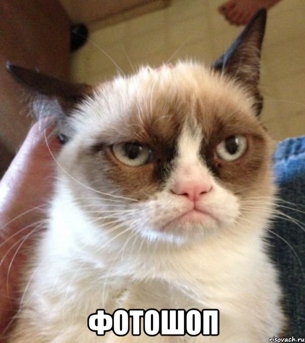  Фотошоп, Мем Grumpy Cat