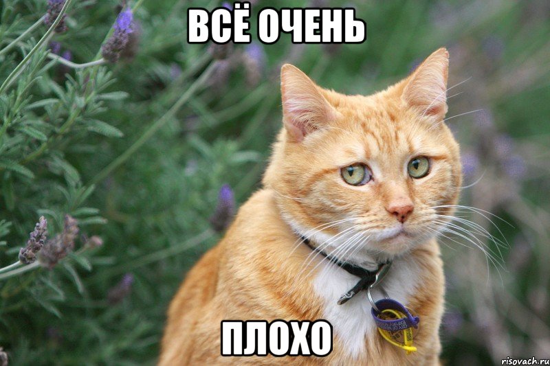 Всё очень Плохо