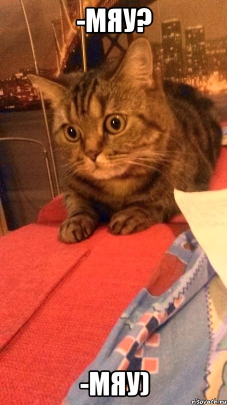 -Мяу? -Мяу), Мем Грустный кот