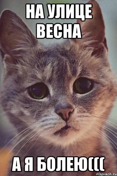 На улице весна А я болею(((