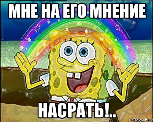 Мне на его мнение Насрать!..