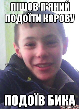 Пішов п'яний подоїти корову подоїв бика