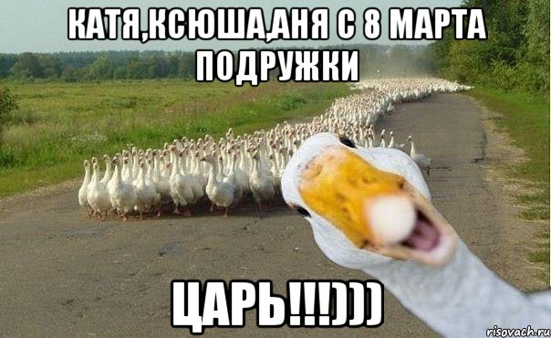 Катя,ксюша,аня с 8 марта подружки царь!!!))), Мем гуси