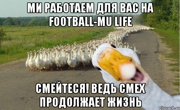 ми работаем для вас на Football-Mu life смейтеся! ведь смех продолжает жизнь, Мем гуси