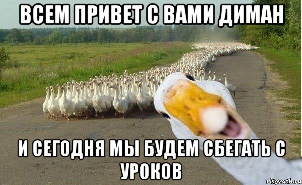 всем привет с вами диман и сегодня мы будем сбегать с уроков, Мем гуси