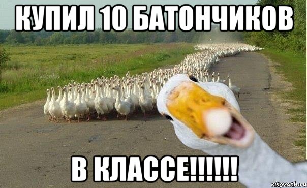 купил 10 батончиков в классе!!!!!!, Мем гуси